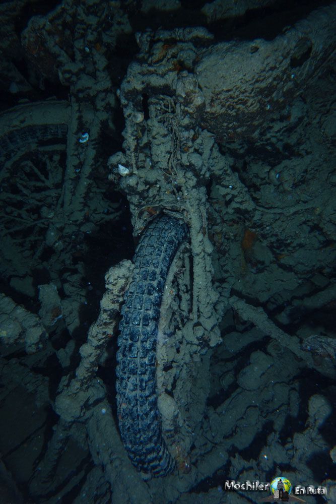 BUCEANDO EN EL THISTLEGORM