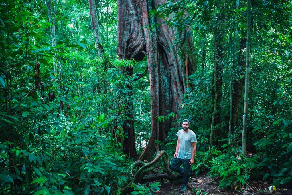Trekking con Orangutanes en Ketambe