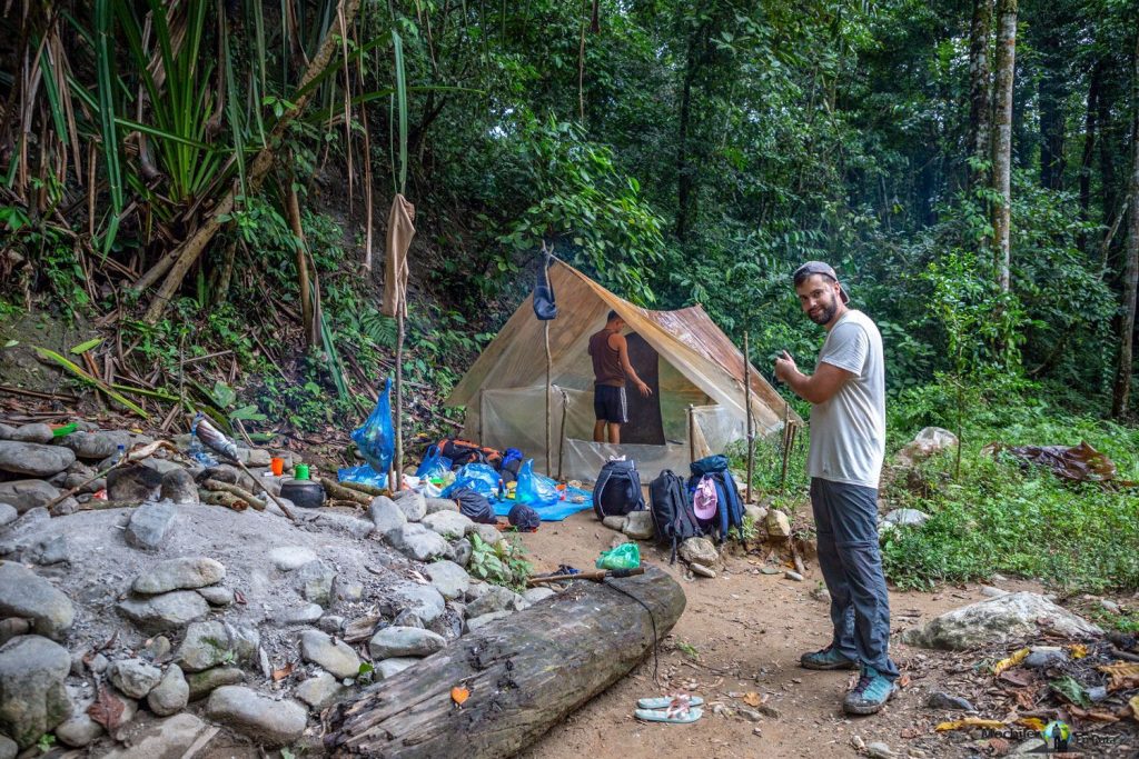 Trekking con Orangutanes en Ketambe
