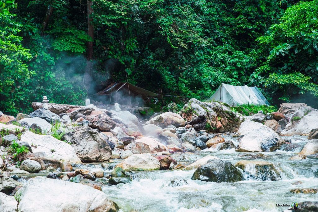 Trekking con Orangutanes en Ketambe