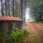 Camino del Santiago del Norte por Galicia