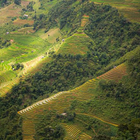 Terrazas de arroz en Ha Giang